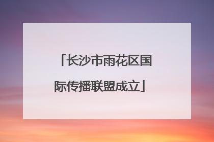 长沙市雨花区国际传播联盟成立